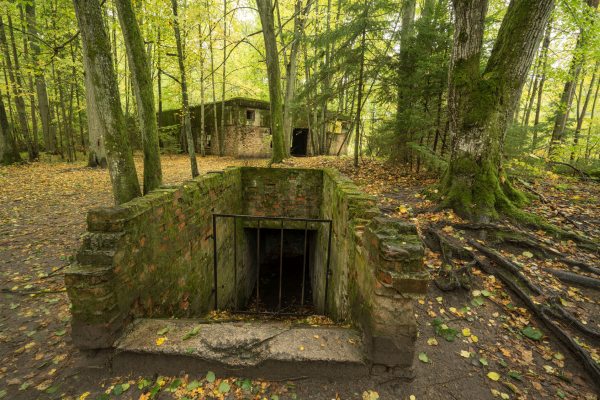 Wolf's Lair, Adolf Hitler's Bunker in Poland. First Eastern Front military headquarters in World War II. Complex was blown up and abandoned on 1945. Autumn, chaparral grown ruins, trees, leaves.